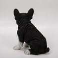 thumbnail image 3 of Hi-Line Gift Ltd Sitting French Bulldog Puppy Statue, 3 of 5