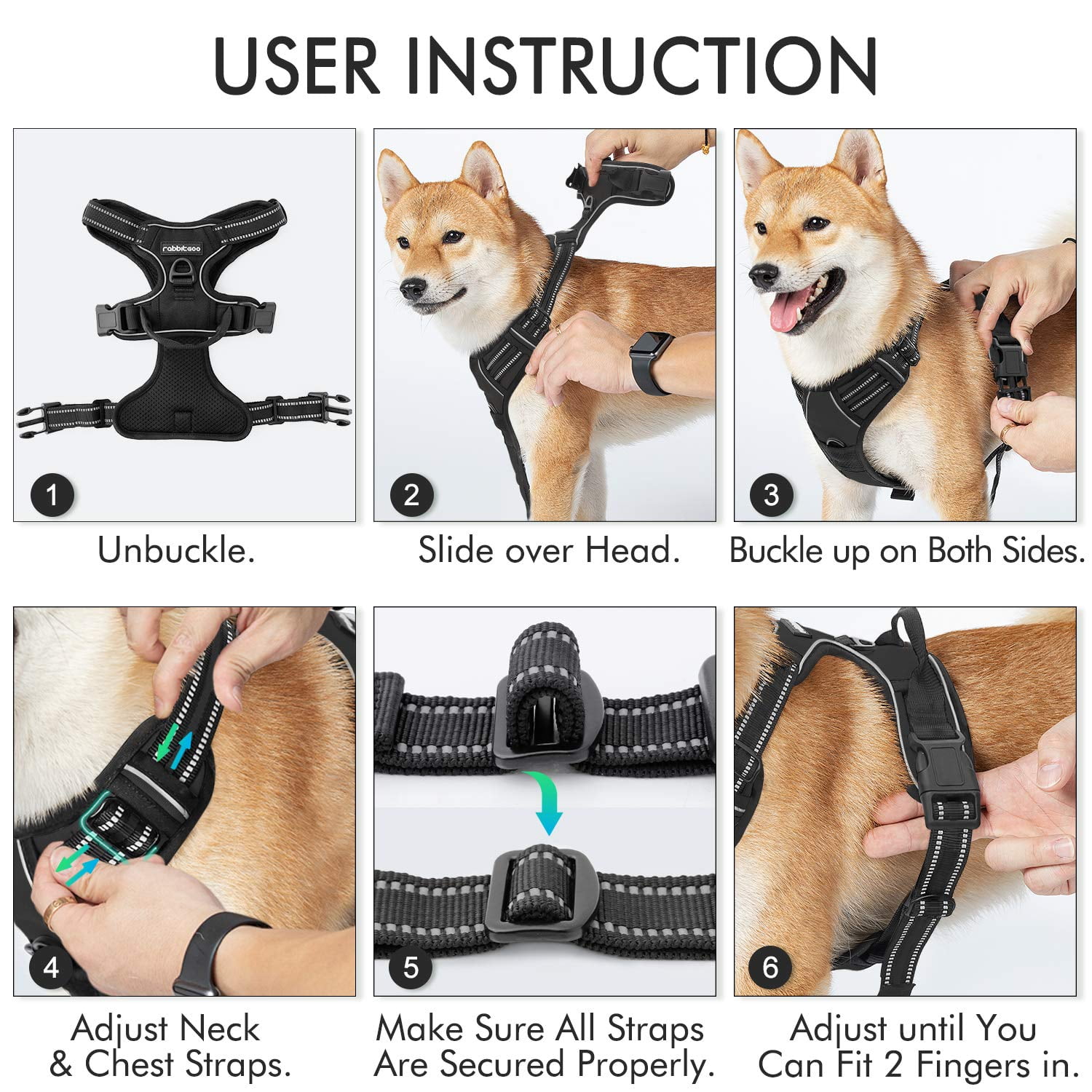 shiba inu leash pull