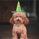 thumbnail image 3 of KAKOWELY Sombrero divertido para mascotas, Día de San Patricio, sombrero pequeño para mascotas, accesorios para disfraces de gatos y perros, accesorio para fotos, 3 of 4