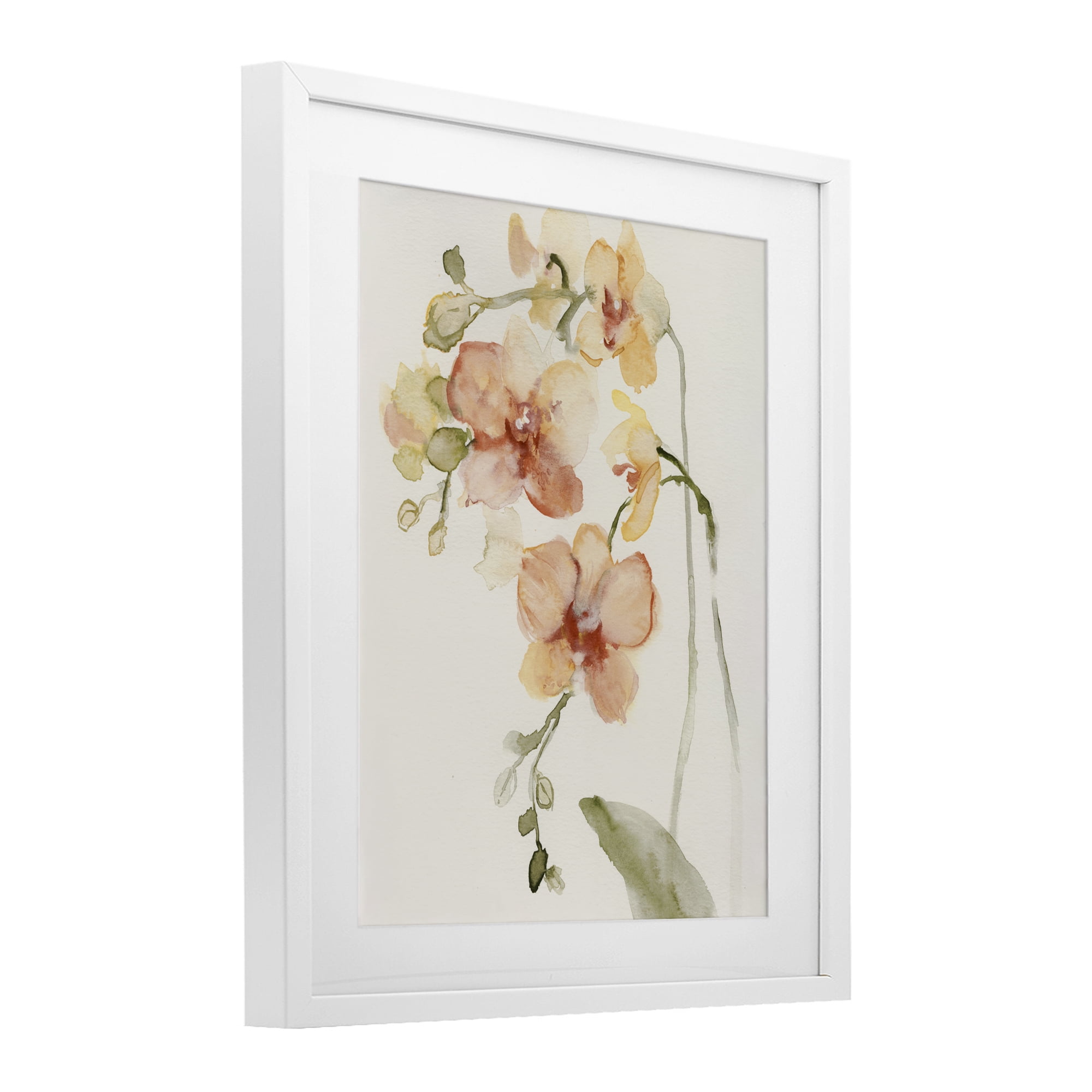 Stupell Industries Peach Orchid in Bloom White Framed Print Under Glass, design by Victoria Barnes