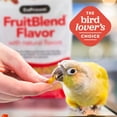 thumbnail image 6 of ZuPreem FruitBlend Bird Food for Large Birds, Macaws, Amazons, Cockatoos, 10 lbs, 6 of 11