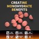 thumbnail image 4 of Gomitas de monohidrato de creatina Nutravita, 120 unidades, sin azúcar, 4 of 7