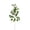 🥝 Purple_New#667, variant on Simulated Rose Jasmine Smiling Flower Lights – Luxury Faux Floral Decor, High-Simulation Silk Petals, Tall Stem Arrangement, No-Maintenance Indoor Display