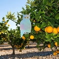 thumbnail image 4 of Bird Stalkers Shaped Owl 3PC Reflective Control Owl Device,3X Owl Reflective Laser Bird Repellent, 4 of 9