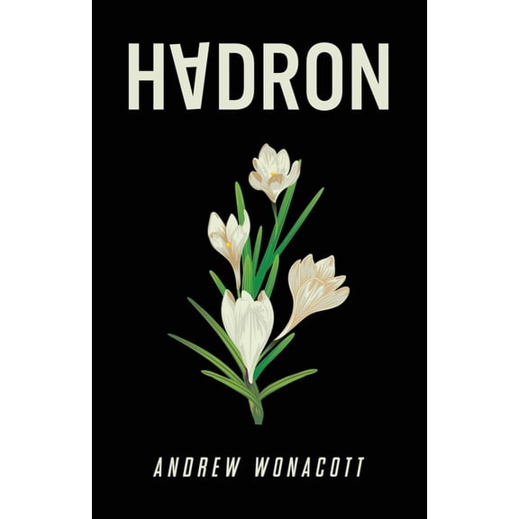 Hadron, (Paperback)