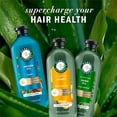 thumbnail image 3 of Herbal Essences Bio:Renew Argan Oil Of Morocco Repairing Color-Safe Shampoo And Conditioner Bundle, 3 of 8