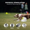 thumbnail image 3 of All For Paws Automatic Tennis Ball Launcher for Medium & Large Dogs, 6 Balls Included, Maxi, 3 of 9