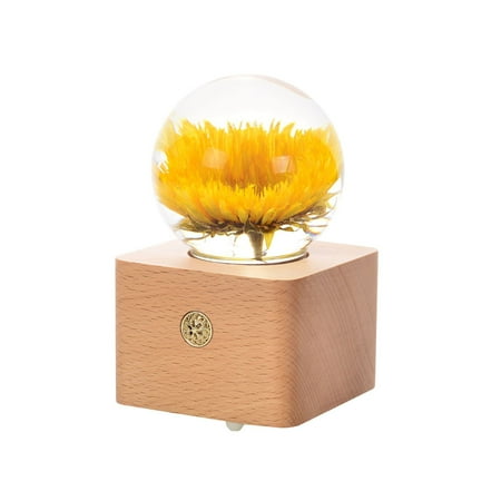 

Homeex Dandelion crystal ball night light Sunflower