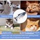 thumbnail image 4 of Juguete de peluche realista de 30 cm, simulación eléctrica, salud de los peces, juguetes para gatos, suministros de gatos, gatito Afortunado Sencillez, 4 of 5