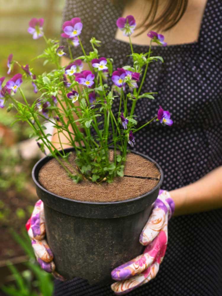 Laideyi Coconut Mulch Mat Tree Protector Mat For Landscaping Coconut