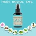 thumbnail image 4 of CARe Eucalyptus & Winter Mint Scent Scent Car Air Freshener Spray for Vehicle (2 pack), 4 of 6