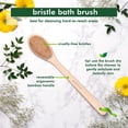 thumbnail image 2 of Cepillo de Baño ECOTOOLS Cerdas Sintéticas Suaves con Mango Ergonómico para Exfoliación Delicada Ecotools NA, 2 of 6