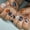 Halloween Nails 01, variant on Halloween Press on Nails Short Almond Fake Nails with Glue Full Cover Ghost Flowers French Lines False Nails Stick on Nails for Women and Girls 24 Pcs Short Halloween Nails Press on Nails