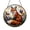 Acrylic 3.5 Inch, variant on Fox Stained Glass Style Suncatcher – Woodland Window Hanging