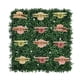 thumbnail image 1 of Soporte de hierba para el organizador de pinzas de garras | Expositor de pinzas para el pelo PE Green 50x50cm | Accesorios decorativos para guardar espacio para mujeres | Estable, resistente al, 1 of 8