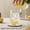 Green, variant on Pink Purple Flower Coasters Set of 4, Absorbent Coasters for Drinks, Spring Vintage Country Floral Leaf Plant Coaster for Desk Coffee Table Protection, Home Decor House Warming Gifts 4"
