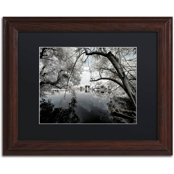 Trademark Fine Art "White Foliage" Canvas Art by Philippe Hugonnard, Black Matte, Wood Frame