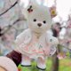 thumbnail image 1 of Oso de peluche Kawaii de 30cm para niños, ropa de muñeca, oso suave, blanco y marrón, cómodo, lindo, regalo, 1 of 4