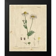thumbnail image 2 of Kimberly, Allen 12x14 Black Modern Framed Museum Art Print Titled - Mayweed 1, 2 of 5