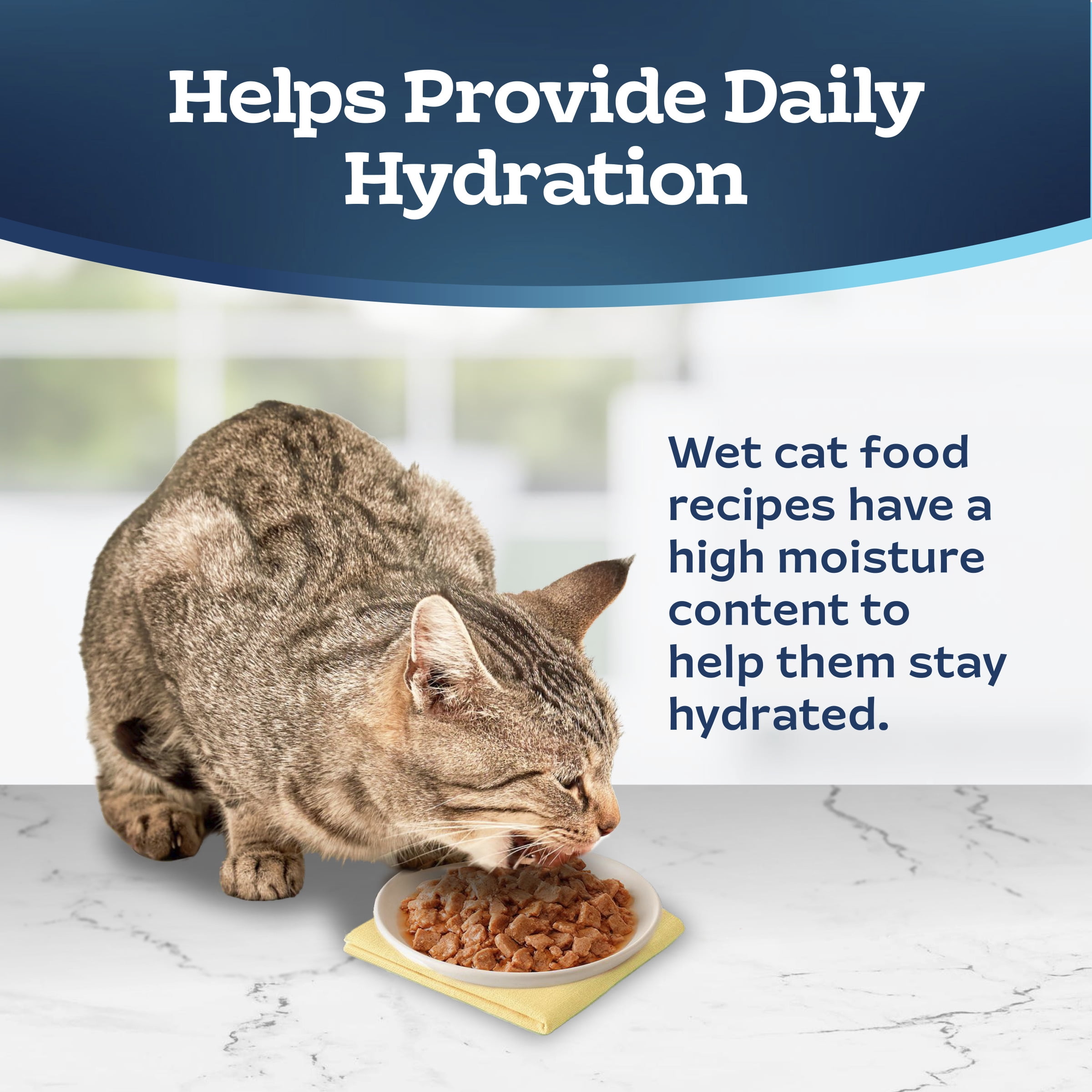 Blue Buffalo Tastefuls Flaked Chicken Entrée in Gravy Adult Cat Wet Food