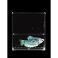 thumbnail image 1 of 1Pack Fish Observation Box for Aquarium Hatching Boxes Transparent Acrylic Rectangular Shape 4.9X4.3X1.5in, 1 of 8