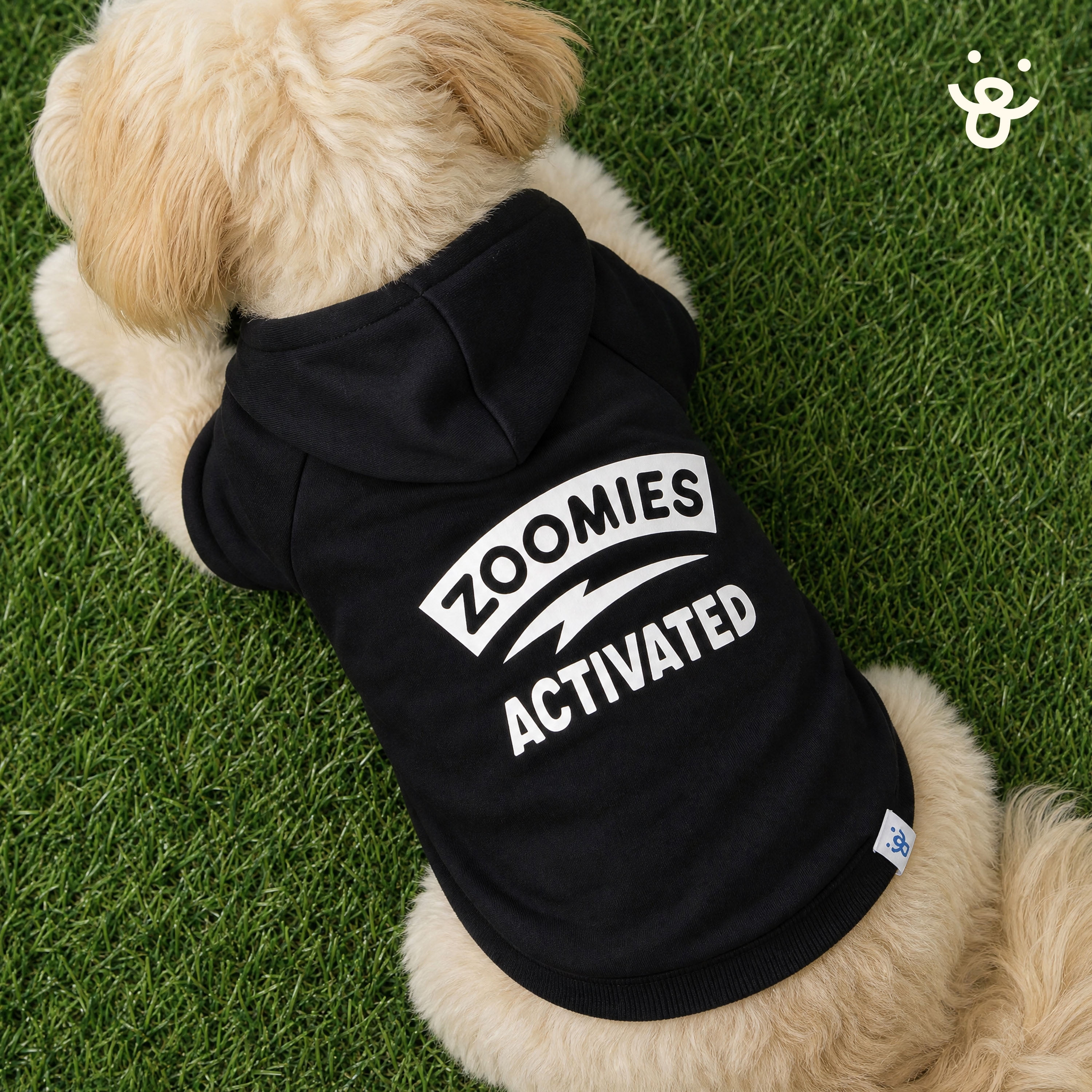 Oodles Zoomies Activated Fall Dog Hoodie, Black, Small
