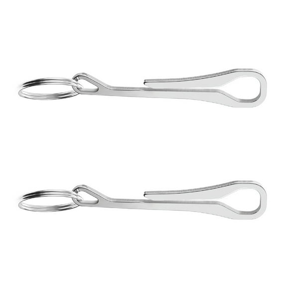 Supvox 2Pcs Metal Carabiner Keychain Stainless Steel Keyring Buckles Assorted Color for Daily Use