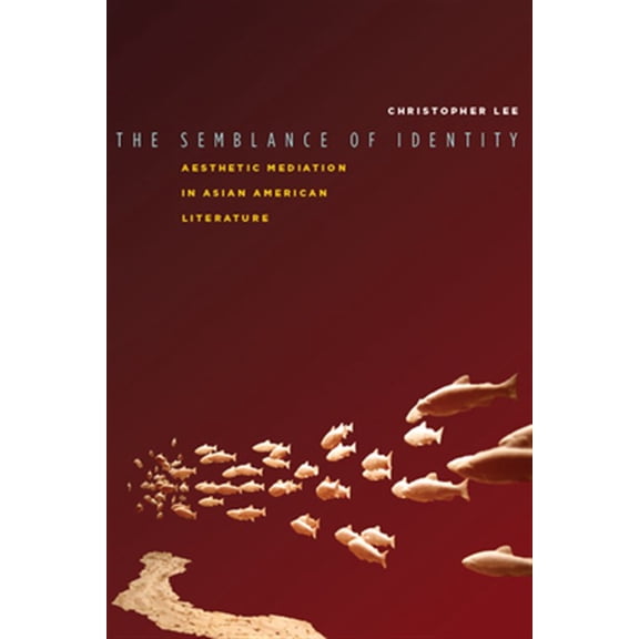 Pre-Owned Asian America: The Semblance of Identity : Aesthetic Mediation in Asian American Literature (Hardcover)