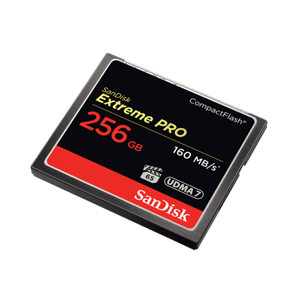 SanDisk - Extreme 256GB CompactFlash (CF) Memory Card