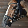 thumbnail image 2 of Hy Equestrian Nose Shield, 2 of 2