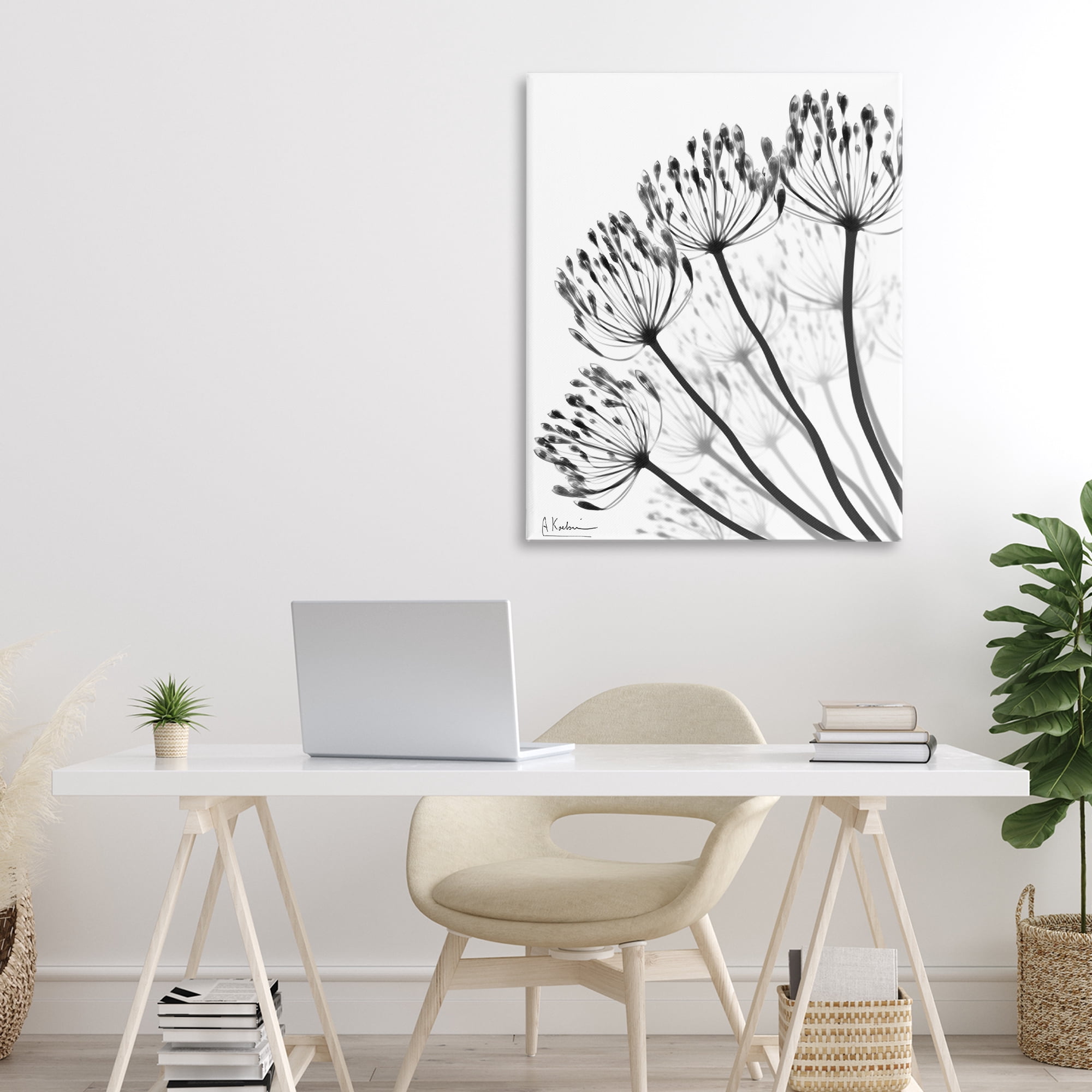 Stupell Industries Floral Fan Dandelions Canvas Wall Art, design by Albert Koetsier