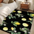 thumbnail image 4 of Yellow Lemon Summer Area Rugs 2.7'x5', Washable Small Throw Rugs for Kitchen Bedroom, Farmhouse Tropical Fruit Black Indoor Outdoor Rug Non-Slip Low Pile Carpet Runner Reversible Floor Mats, 4 of 8