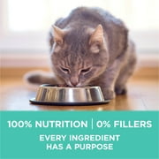 Purina ONE Plus, Sensitive Skin & Stomach, Dry Cat Food, Turkey, 3.5 lb Bag
