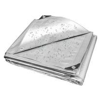 10' x 10' Heavy Duty 10 Mil Waterproof Silver Tarp