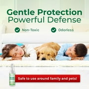 Hygea Natural Lice, Mite, and Bed Bug Travel Spray Bed Bug Treatment Travel Bug Spray, Regular, 3 fl oz, 3 Pack