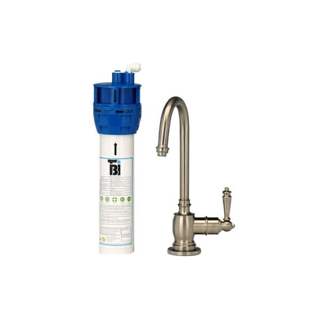 

AquaNuTech AquaNuTech Traditional C-Spout Cold Water Only Faucet with Filtration System Brushed
