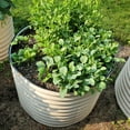 thumbnail image 5 of Vego Garden 32" Extra Tall 42" Wide Round Metal Raised Gardening Bed Kit- Pearl White, 5 of 10