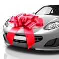 thumbnail image 1 of Arco para coche MIFFLIN-USA, tamaño grande, rojo mate, 76 cm, con 2 ventosas, 1 of 7