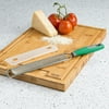 Tasty Stainless Steel Handheld Grater with Blade Guard, Green