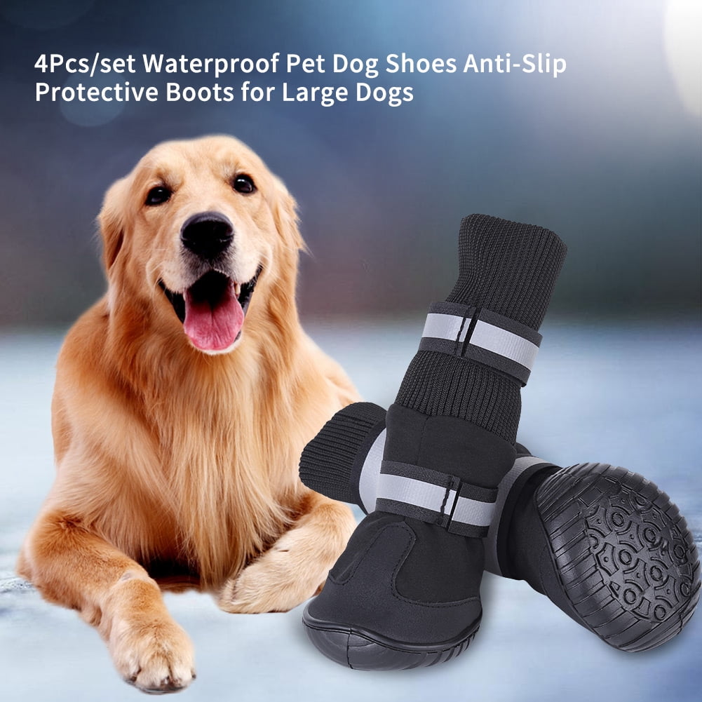protective dog boots