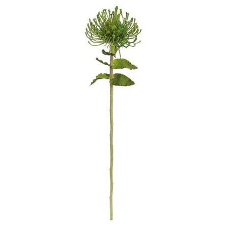 Northlight Seasonal Artificial Pin Cushion Protea Decorative Floral Crafting Stem