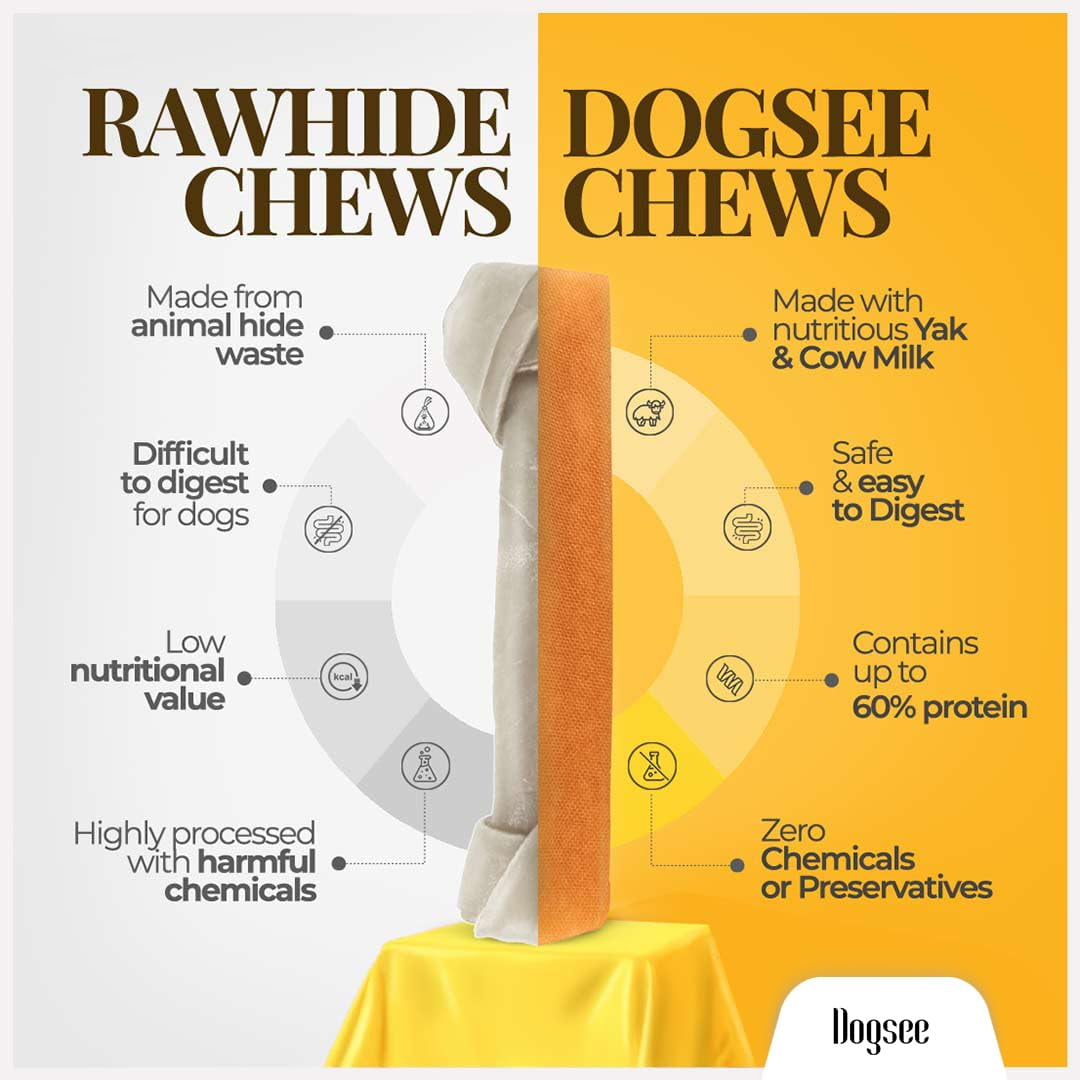 Dogsee Yak Cheese Chews Large Dogs Turmeric Joint Support Dental 1 lb 4 Chews