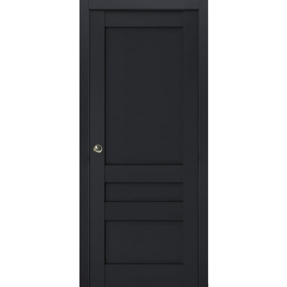 Sliding French Pocket Door | Veregio 7411 Antracite | Kit Trims Rail Hardware | Solid Wood Interior Bedroom Sturdy Doors-36" x 84"