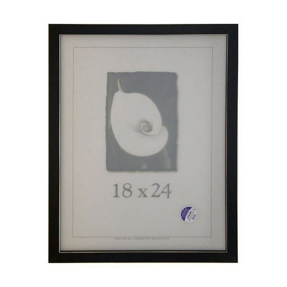 Frame USA Clean Cut Picture Frame 20W 3.625H