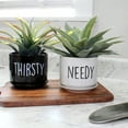 thumbnail image 2 of Esterno Needy and Thirsty Planter Pots (Set of 2); Ceramic Funny Indoor Container Gardening Pots, 2 of 9
