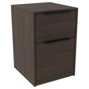 Two Tone Wooden File Cabinet with 2 File Drawers - Dark Brown