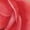 Rose Flowers3, variant on Rose Flower Print Workout Shorts for Women Soft Smooth Gym Yoga Scrunch Active Tennis Workout Running Shorts