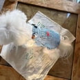 thumbnail image 2 of Adorable Pet Clothes for Cats & Small Dogs - Charming Spring & Autumn Wear, 2 of 2