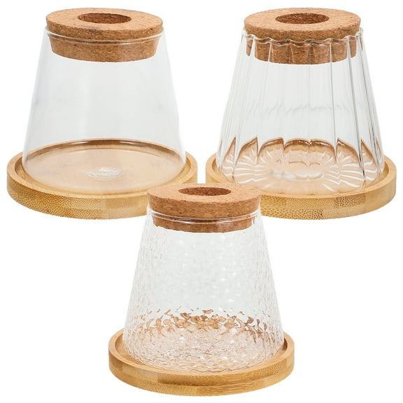 3 Sets Hydroponic Plant Bottle Terrarium Glass Containers Hydroponic Planter Clear Hydroponic Vase Office