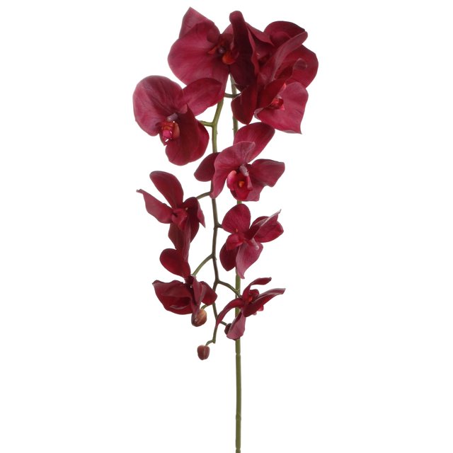 Burgundy Real Touch Orchid Stems Lifelike Silk Flowers